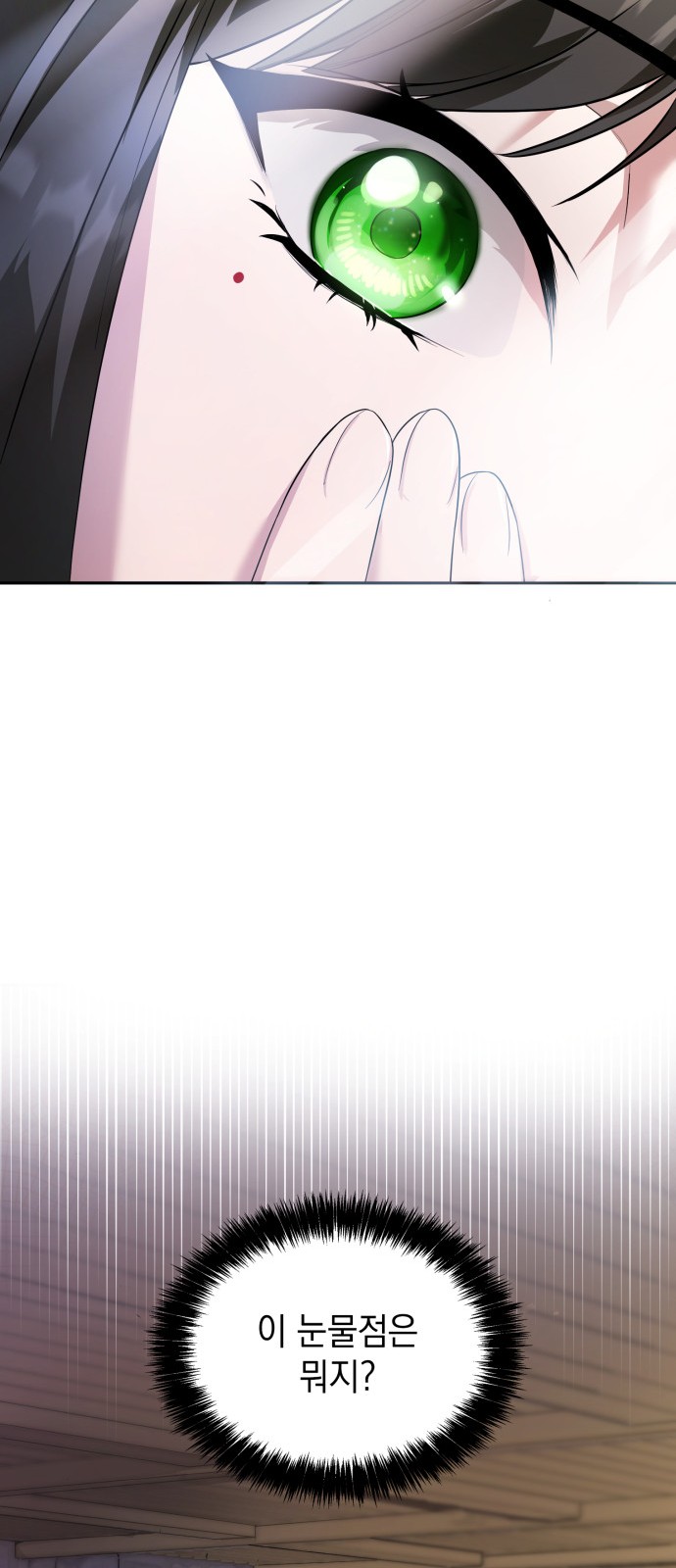 113 페이지