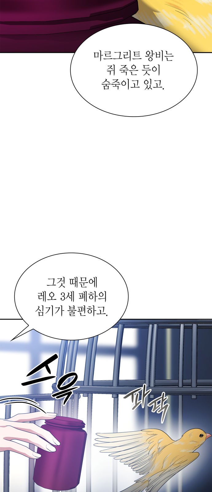 81 페이지