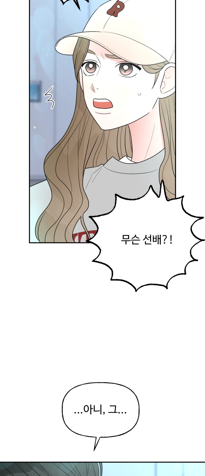 46 페이지