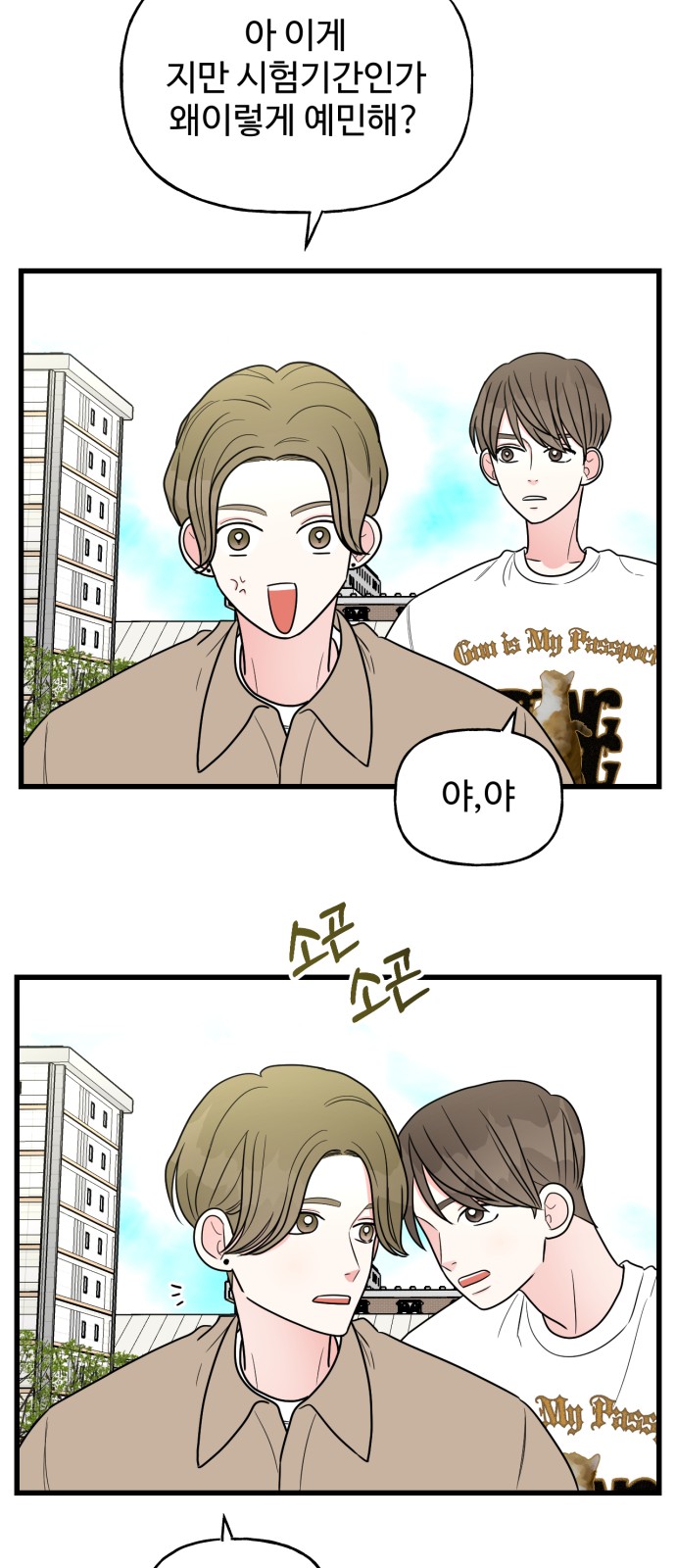 16 페이지