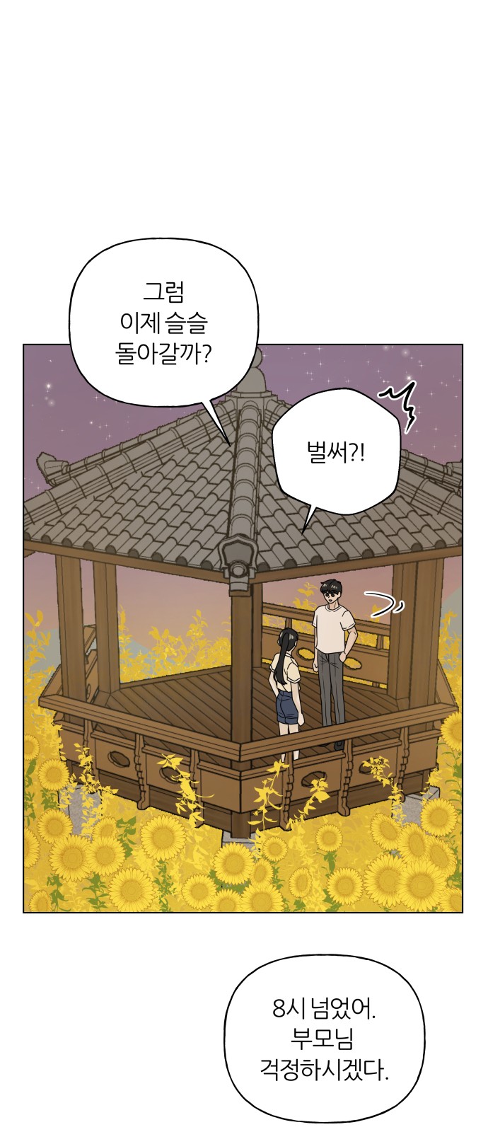 30 페이지