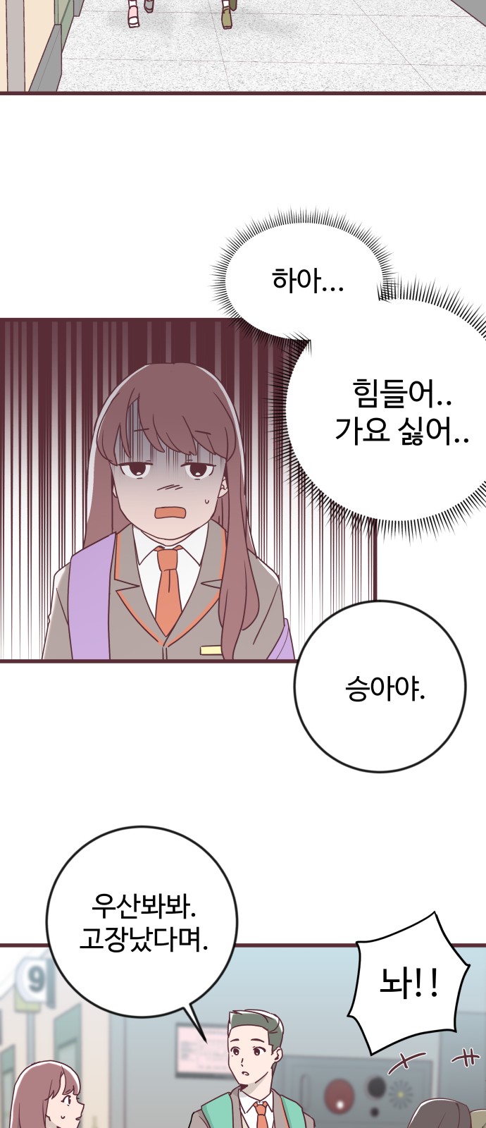 41 페이지
