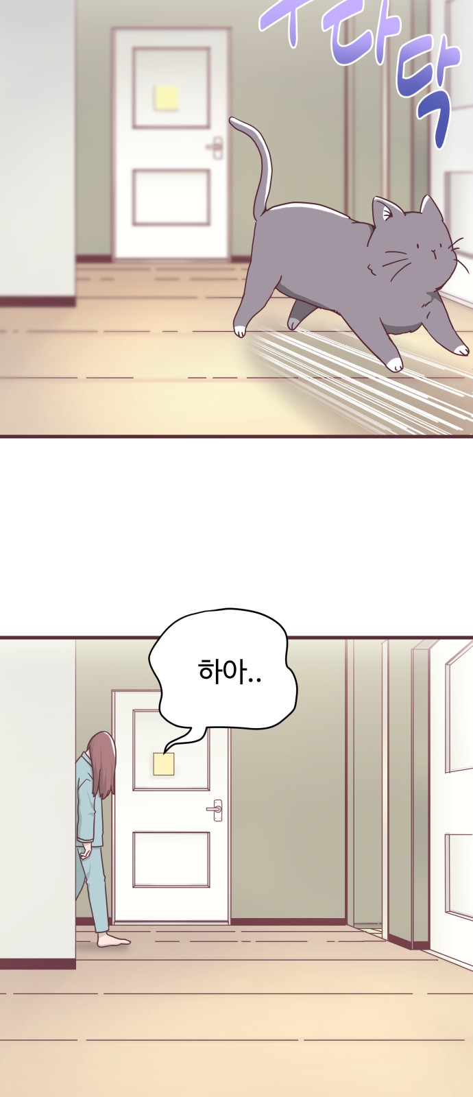 5 페이지