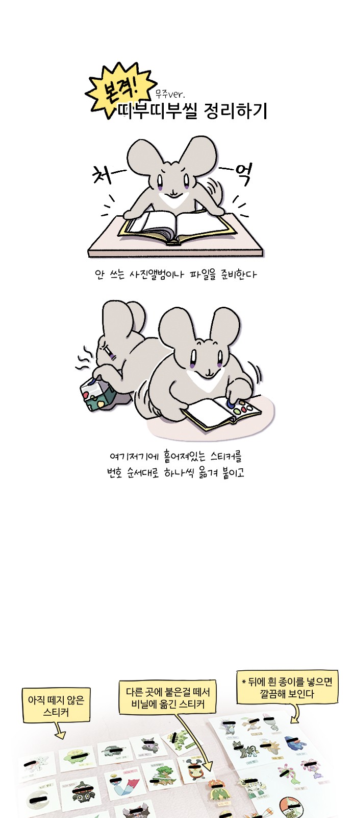 19 페이지