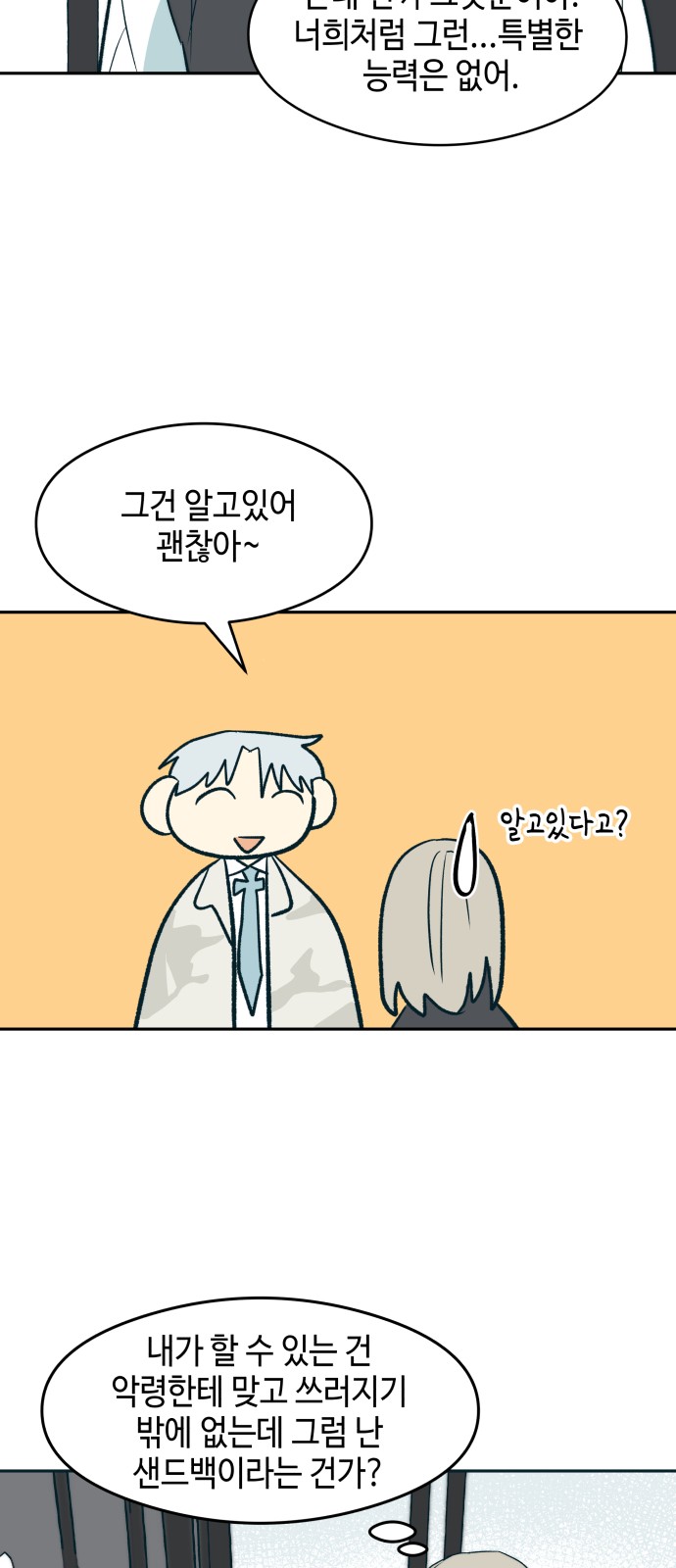 46 페이지