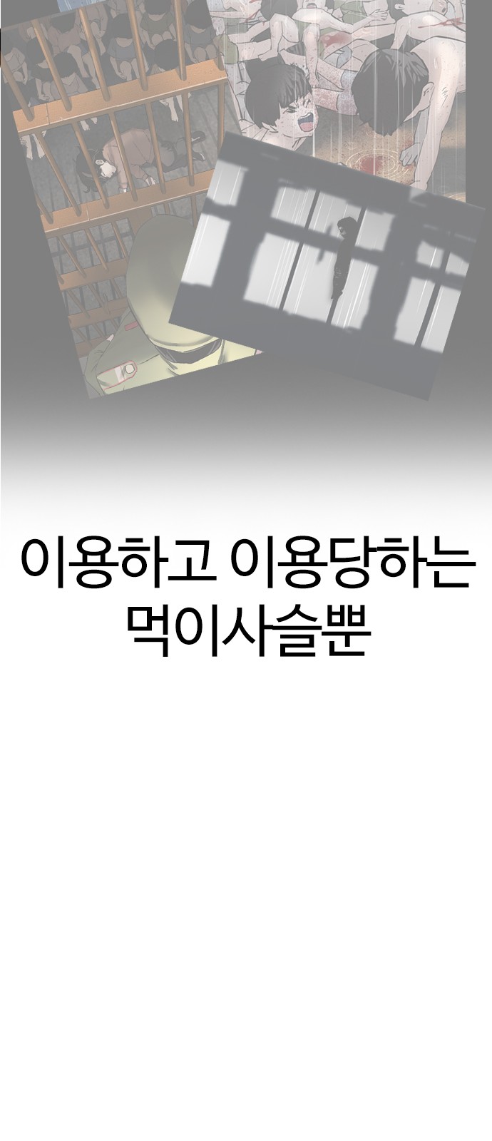 146 페이지