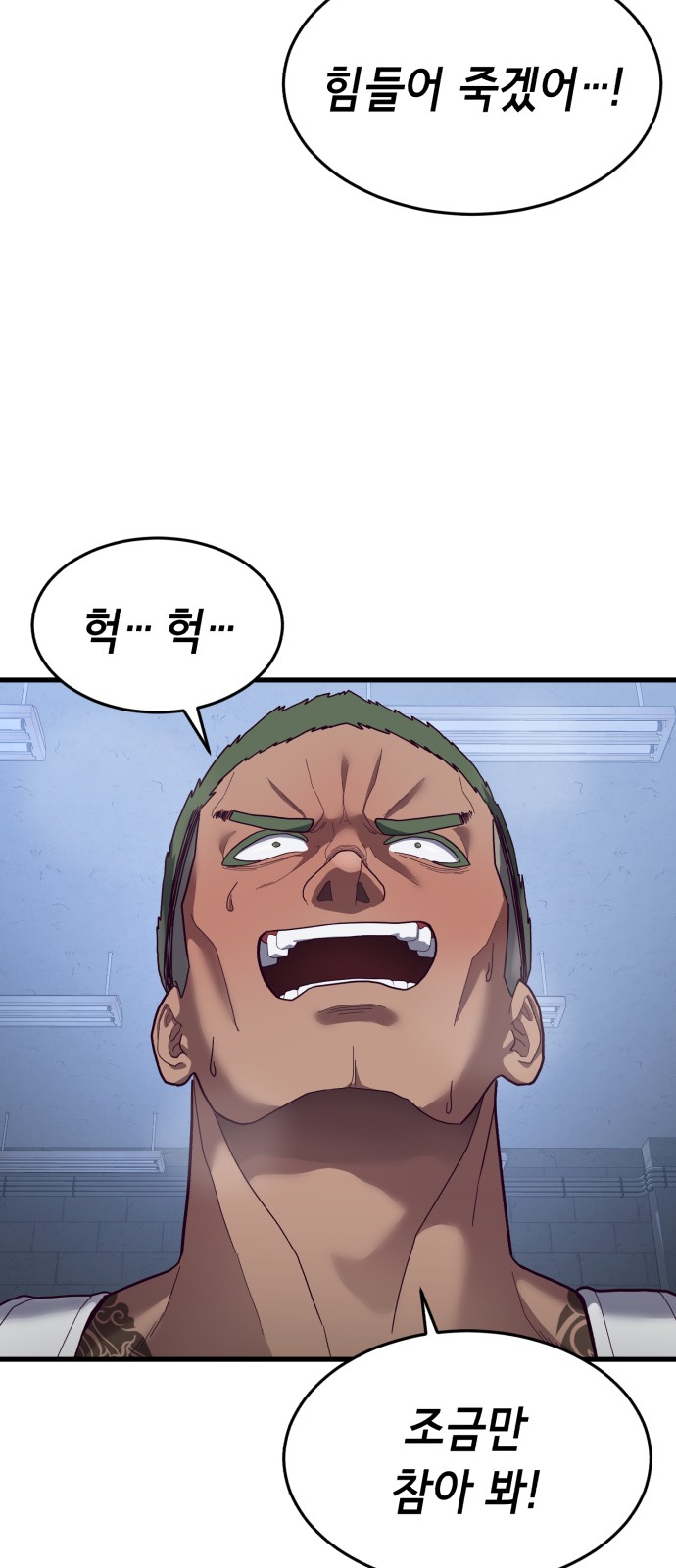 66 페이지