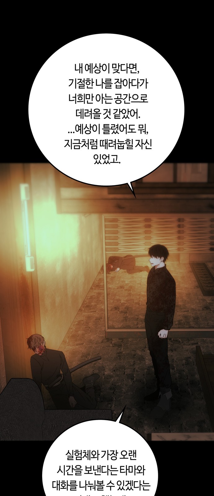 41 페이지