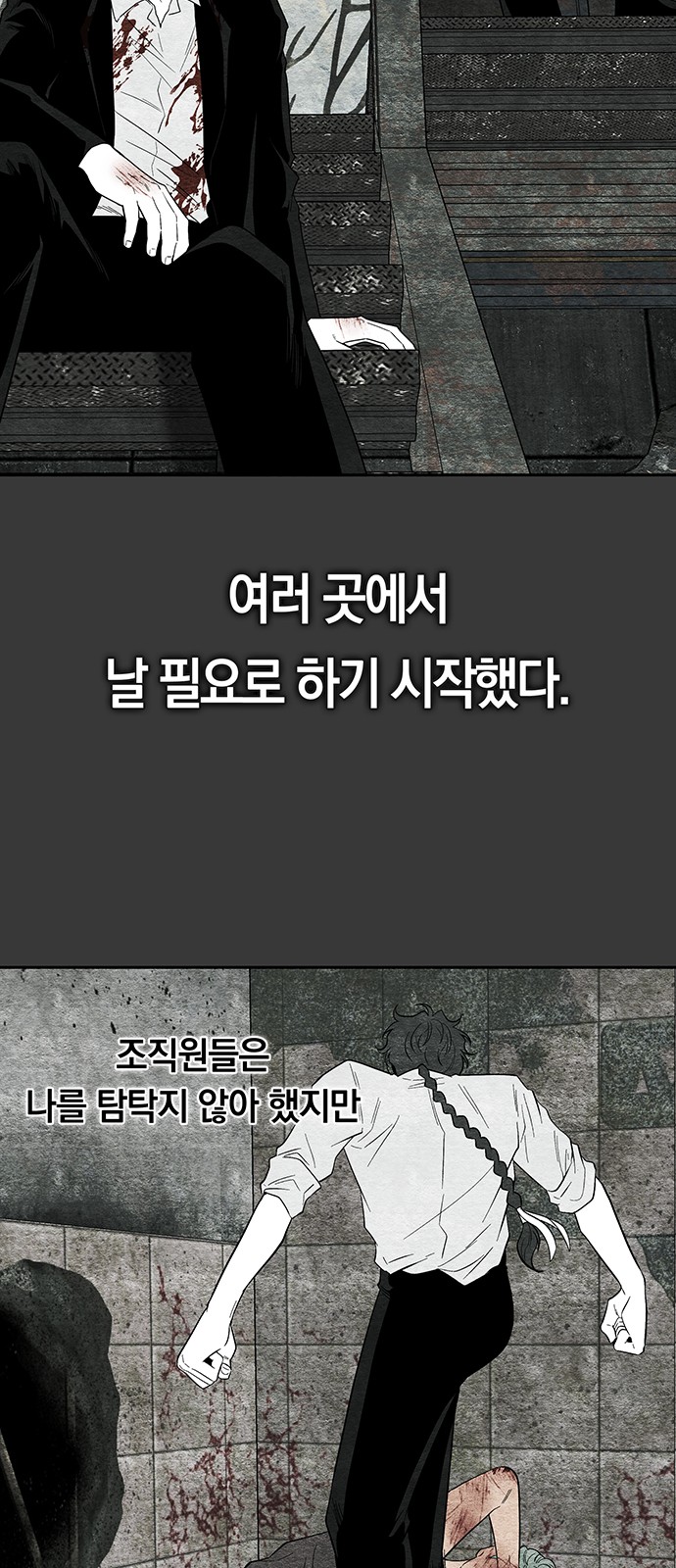 71 페이지