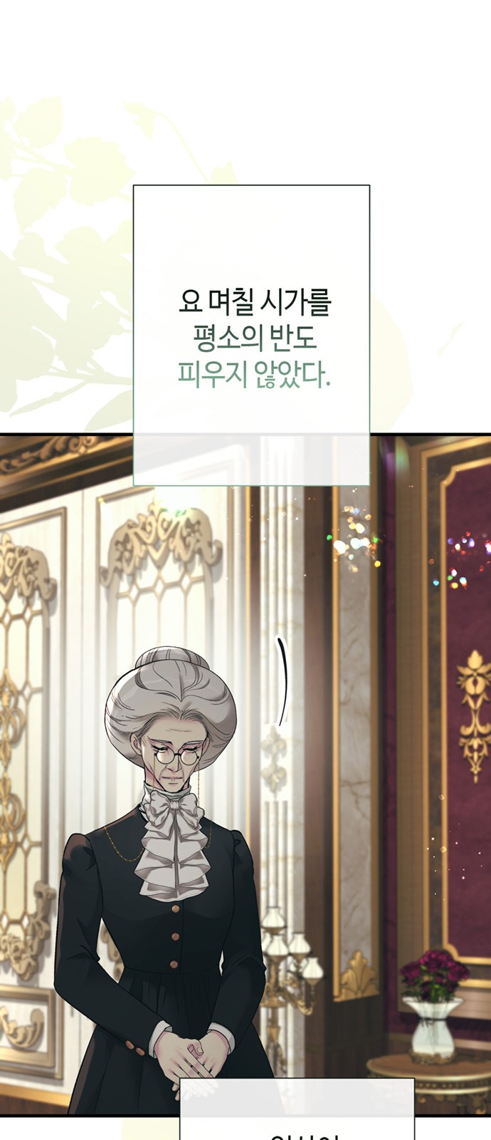 100 페이지
