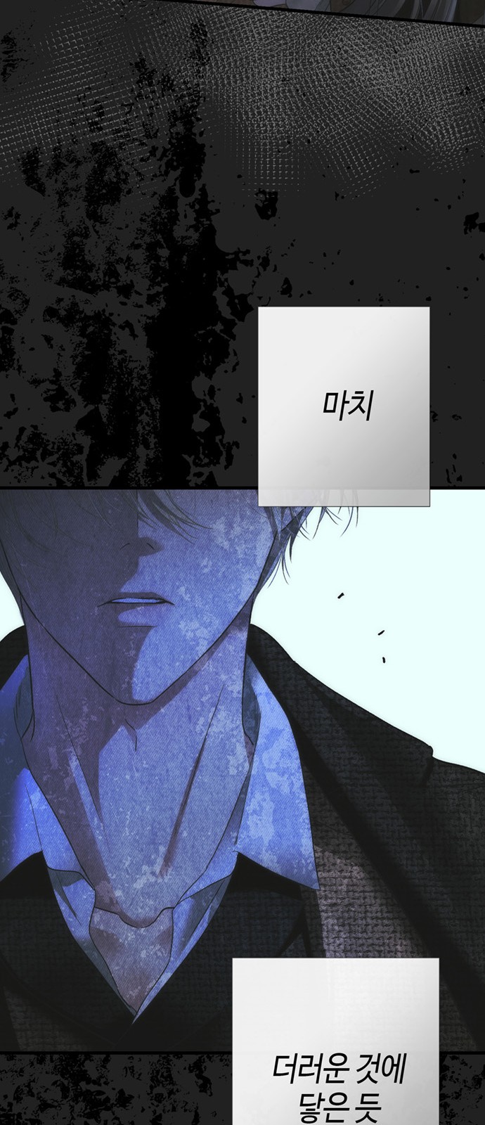 116 페이지