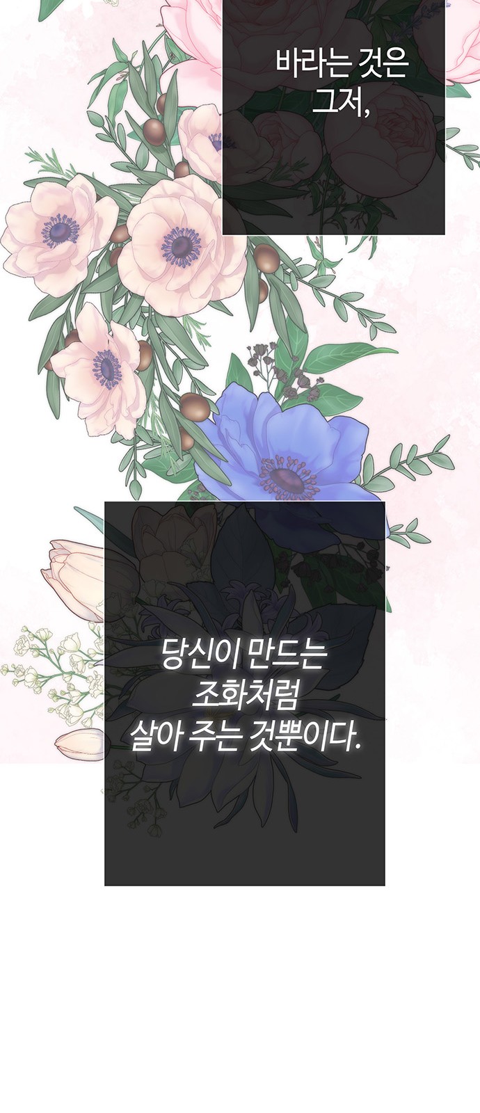 113 페이지