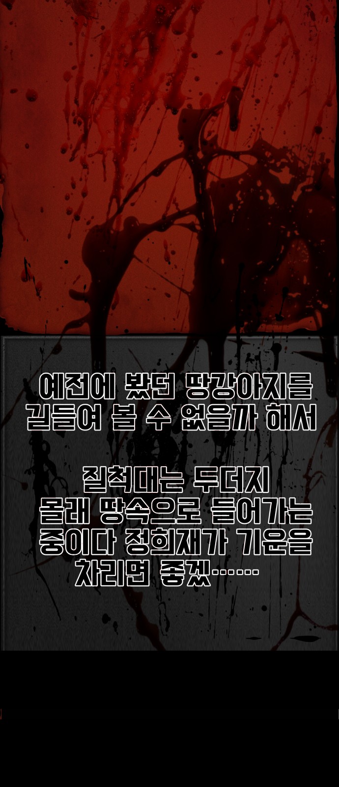 146 페이지