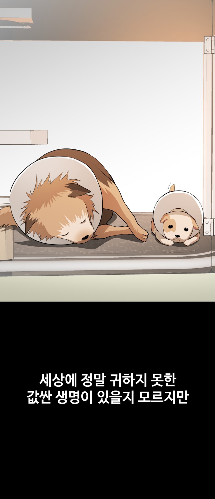 105 페이지