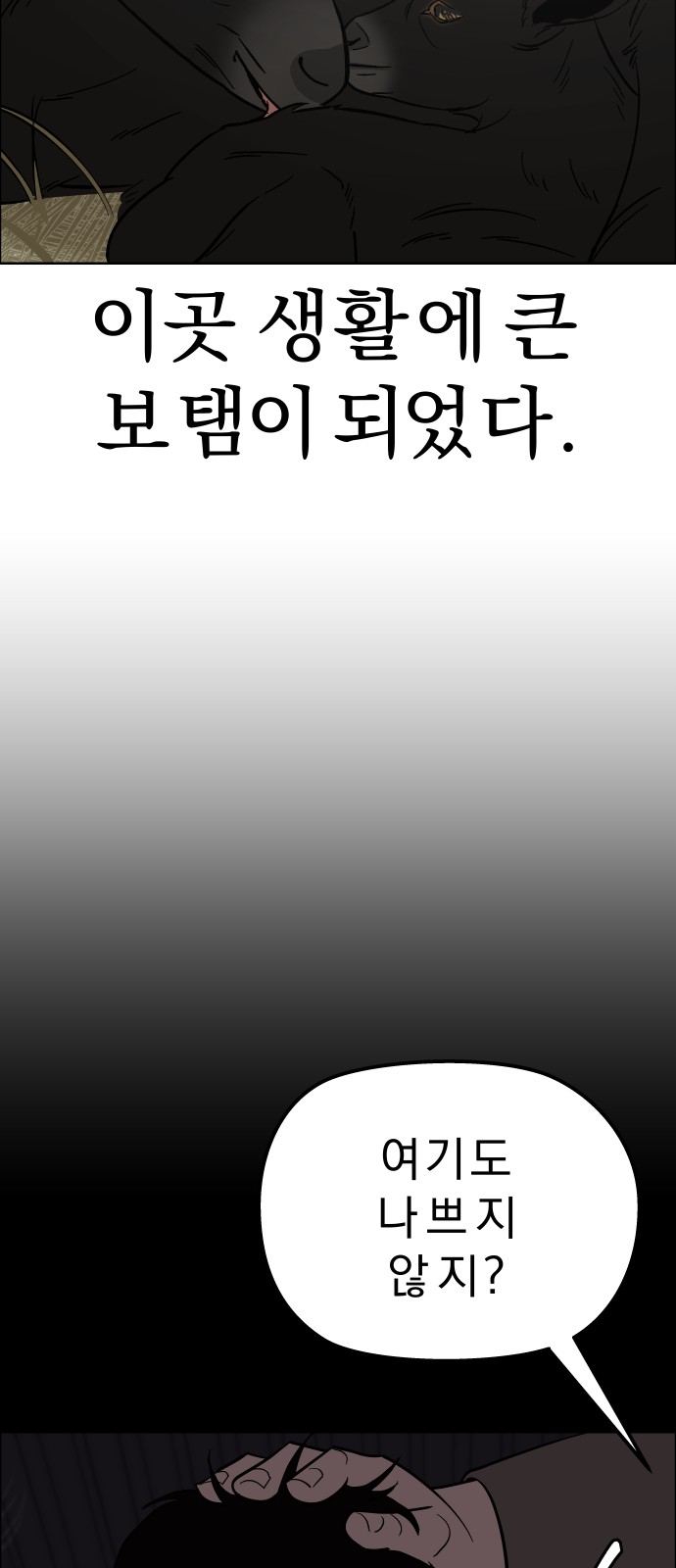 43 페이지