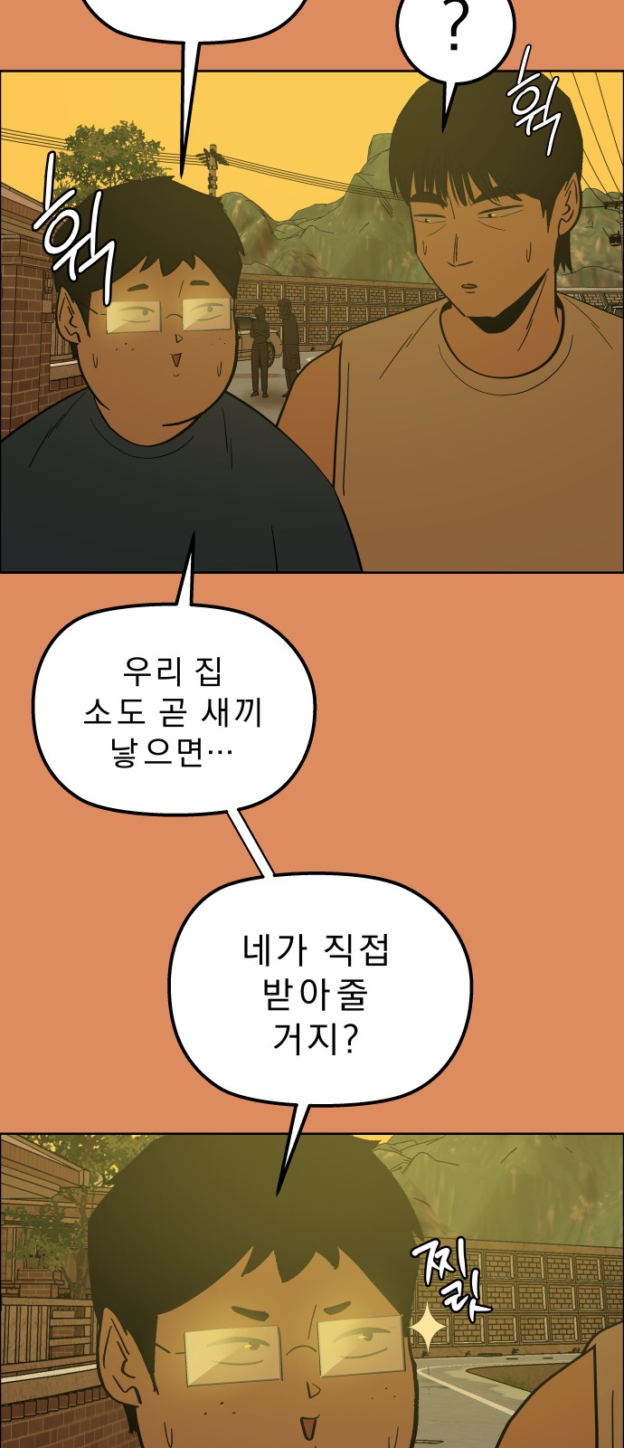 43 페이지