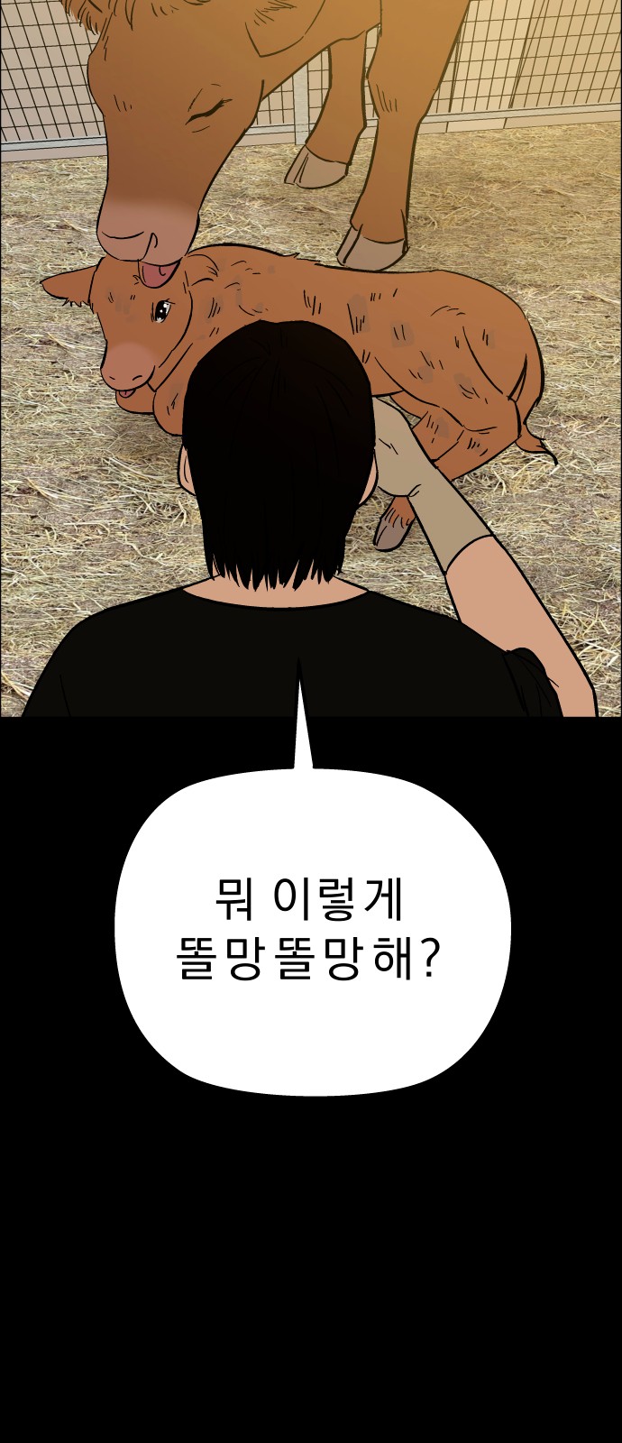 49 페이지