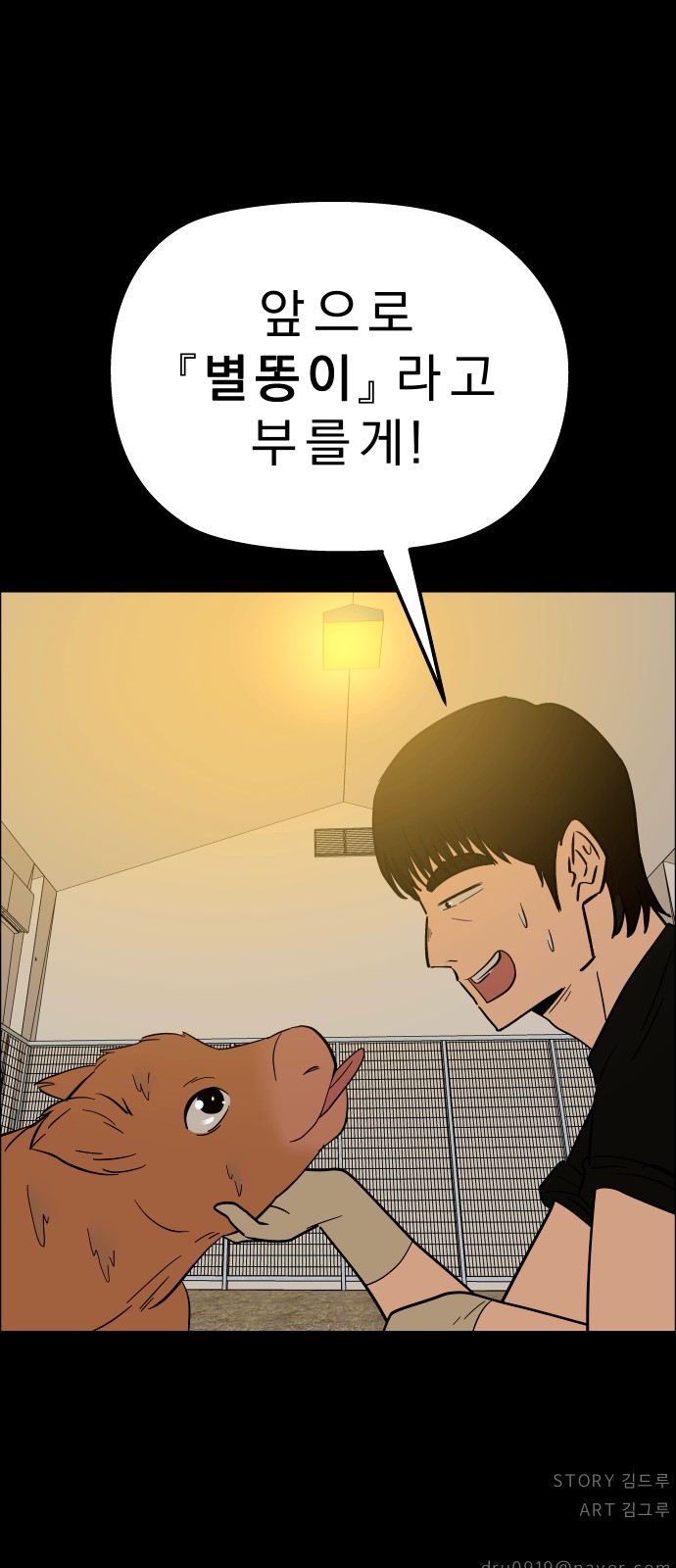 53 페이지