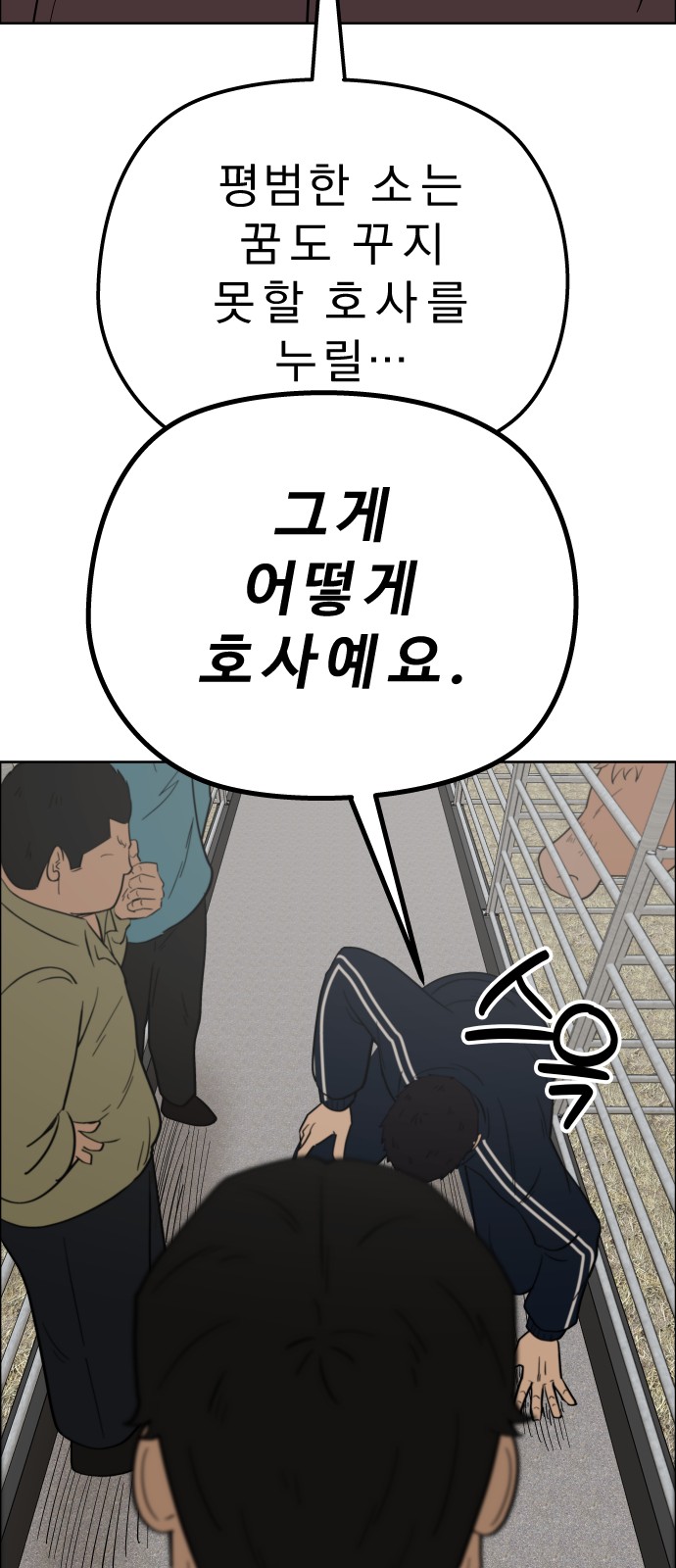 31 페이지