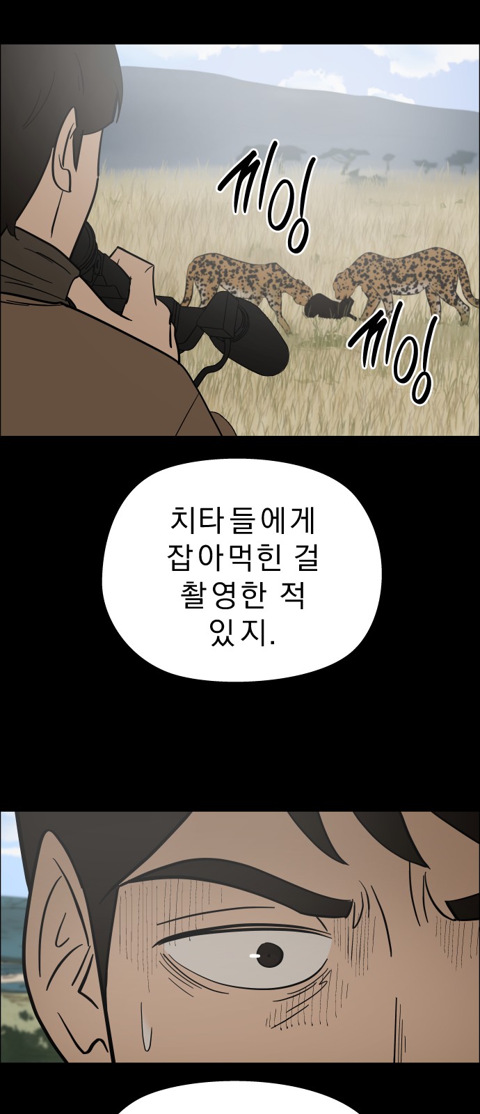 15 페이지