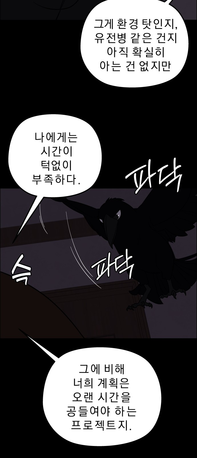 48 페이지