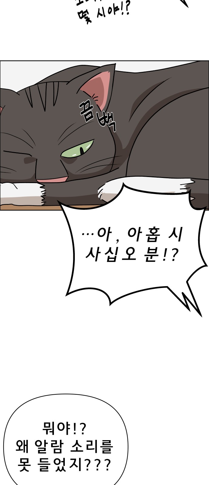 18 페이지