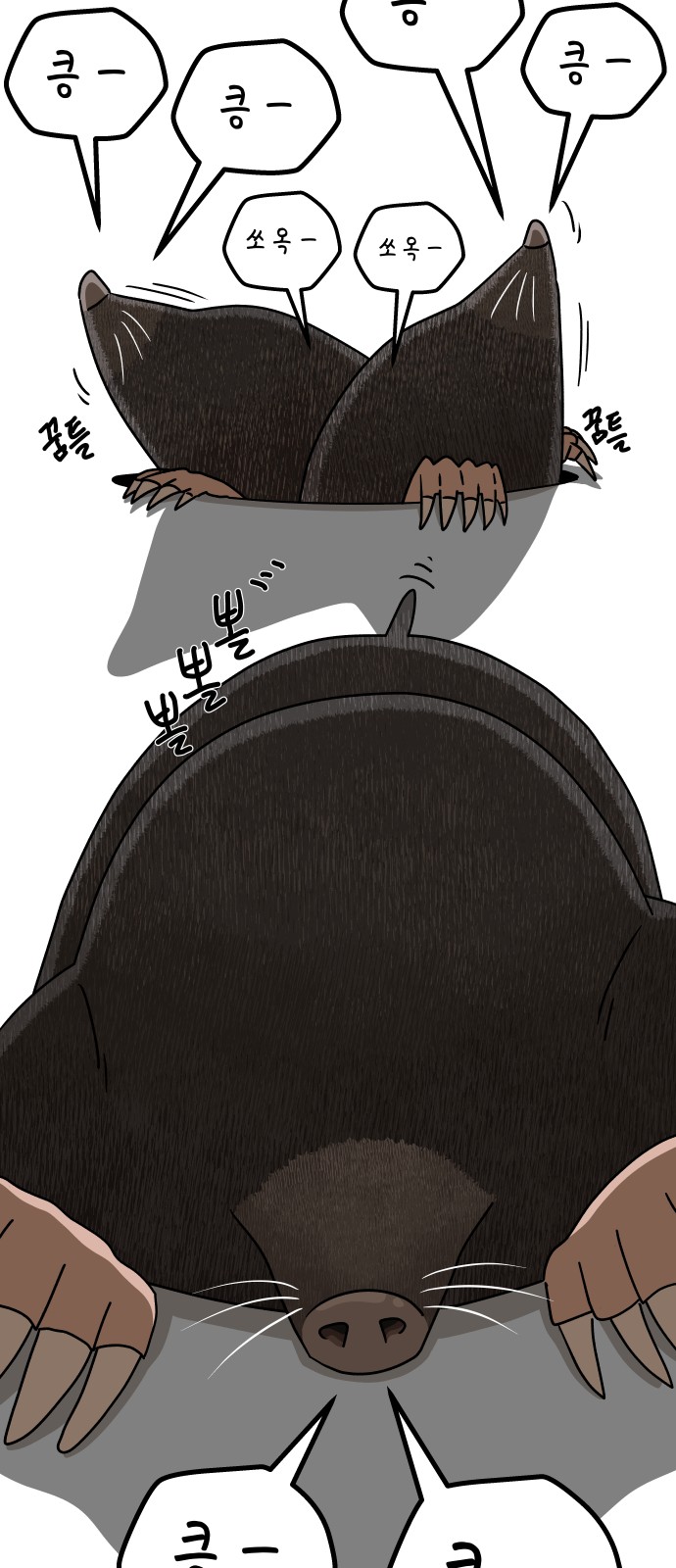 11 페이지