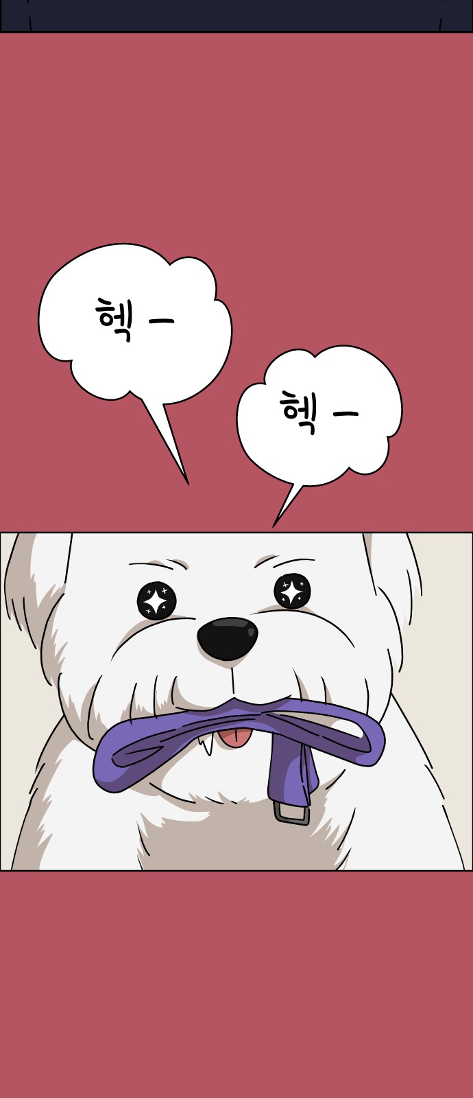 52 페이지