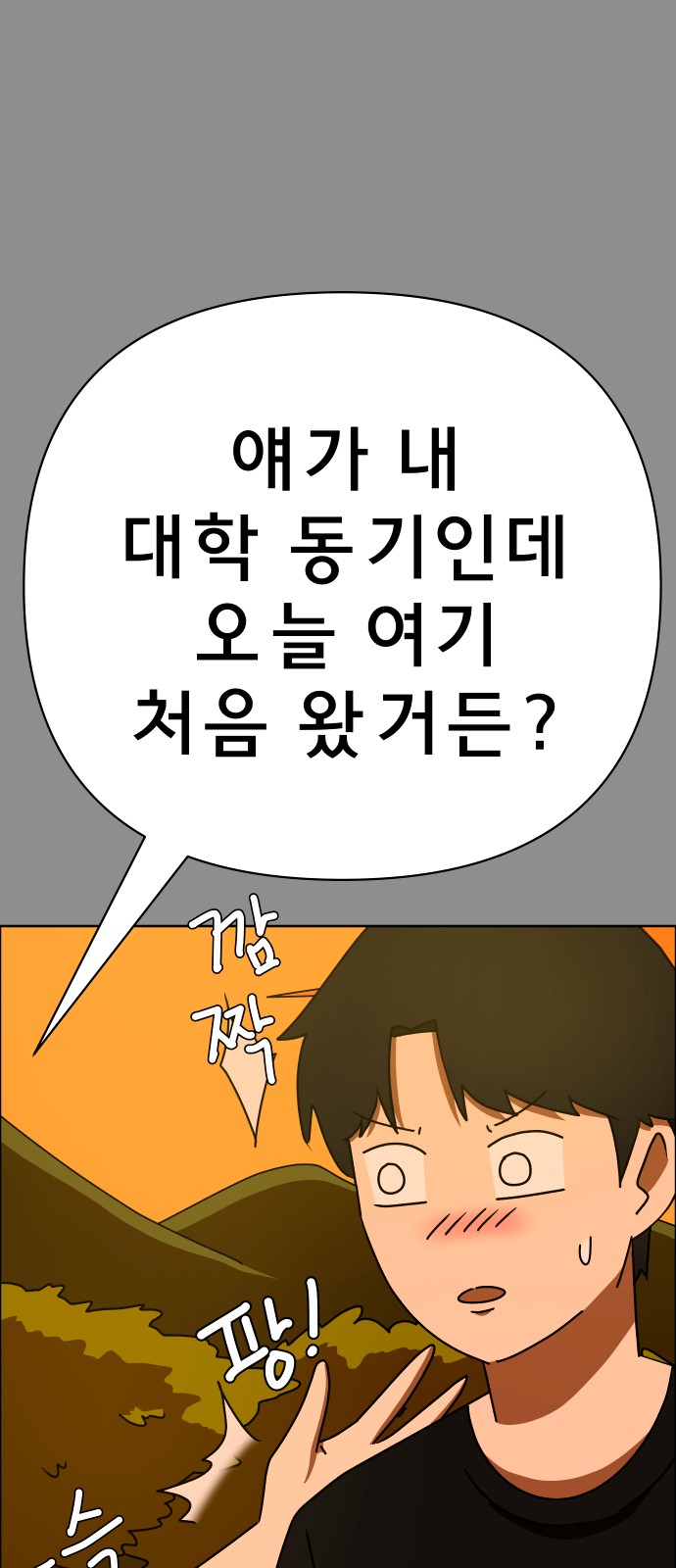 66 페이지