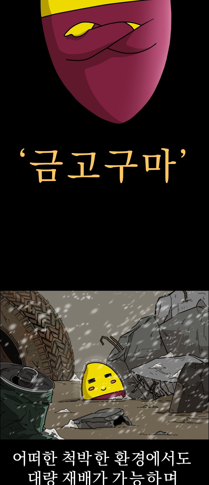 11 페이지