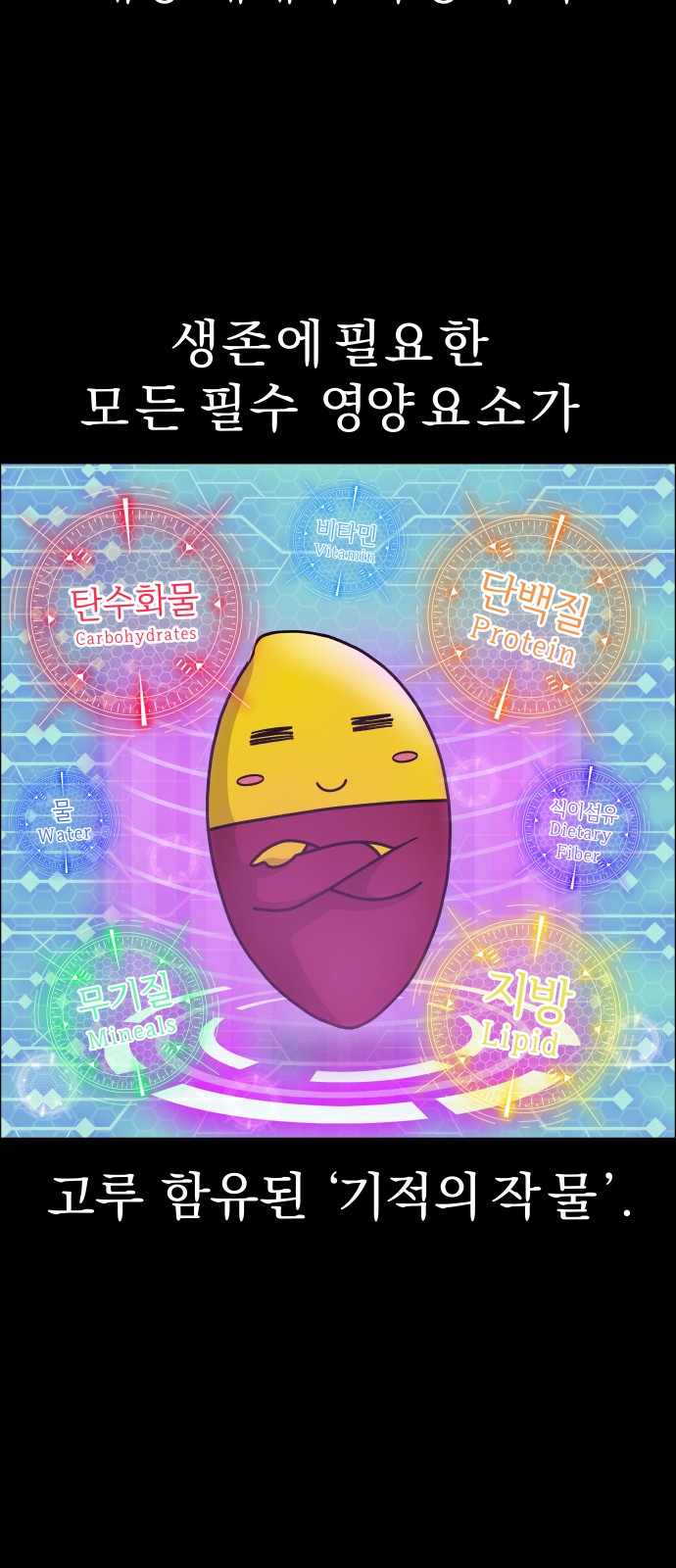 12 페이지