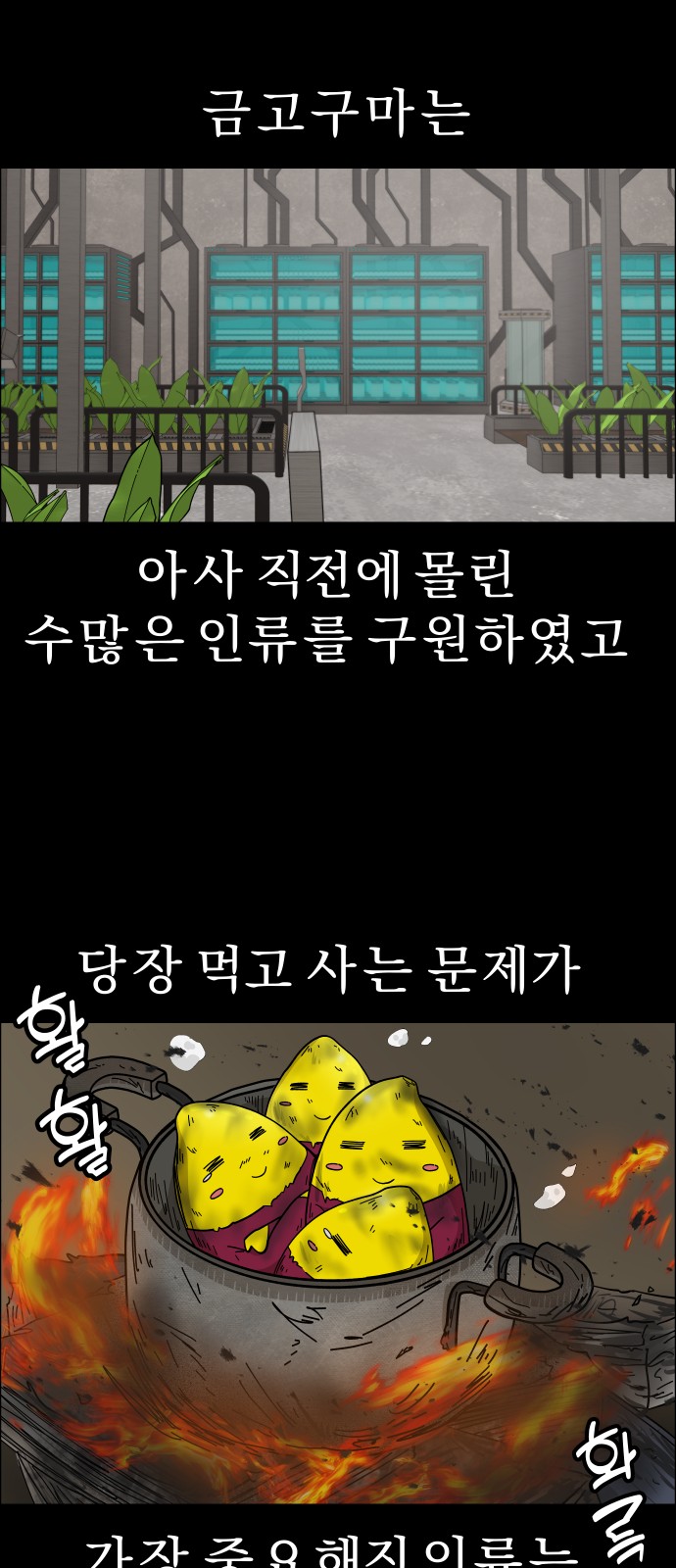 13 페이지