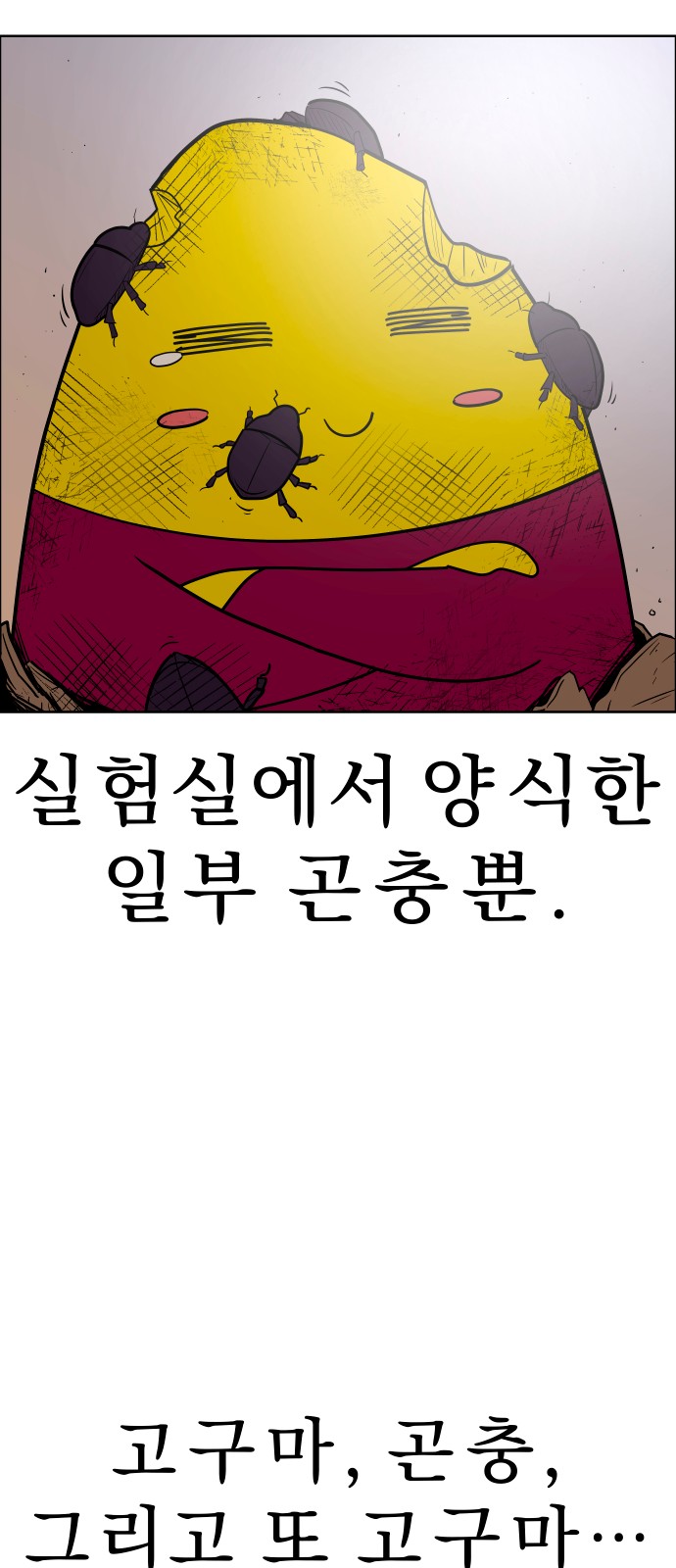 62 페이지