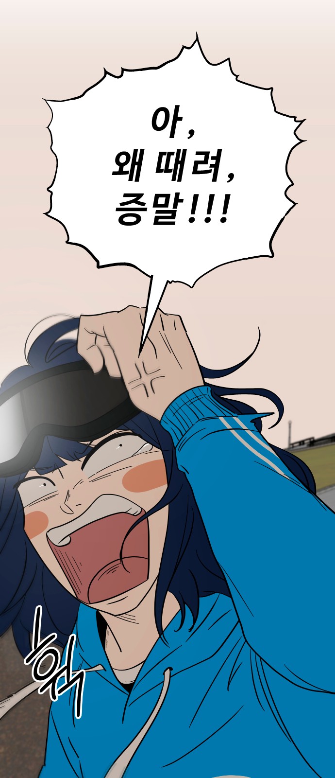 17 페이지