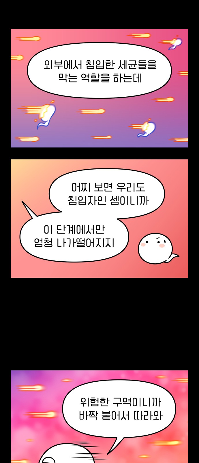 19 페이지