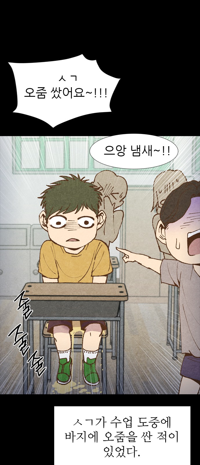 13 페이지