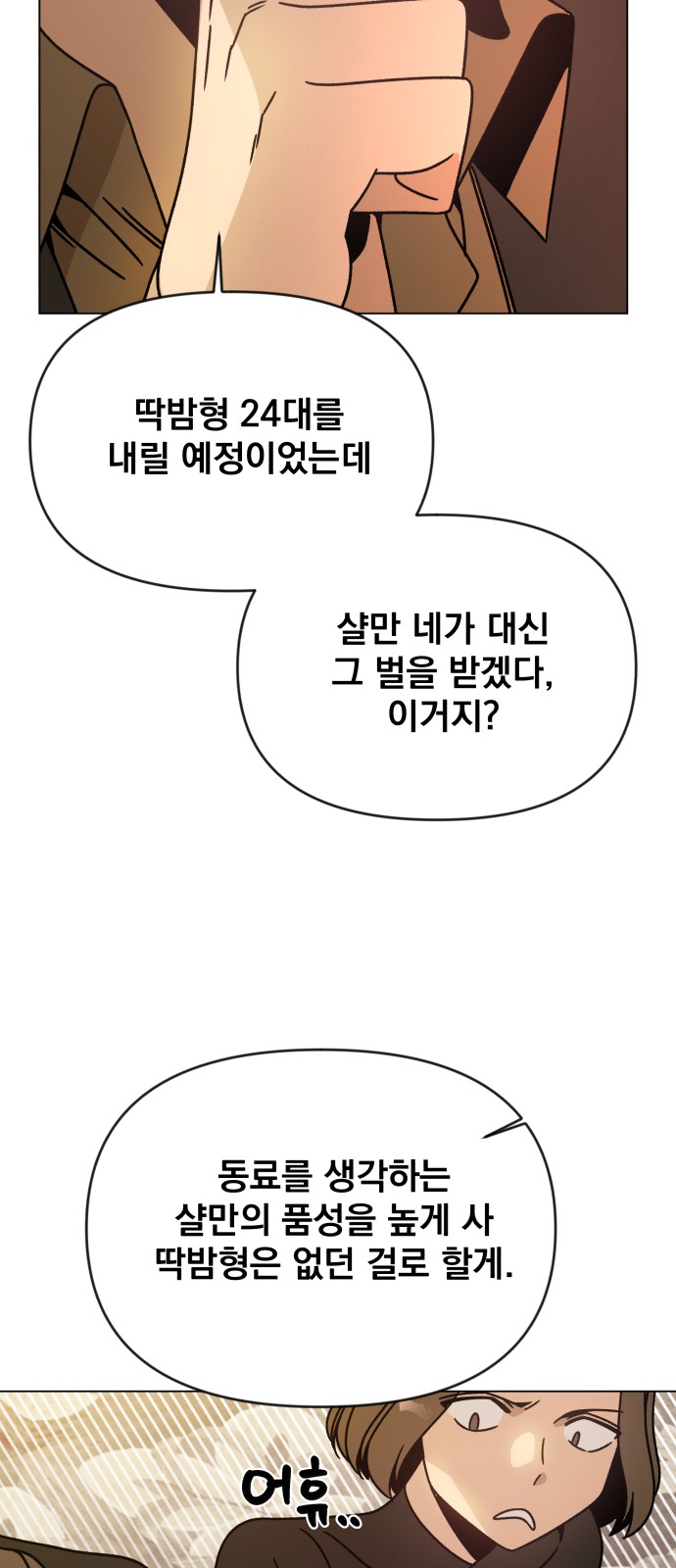 63 페이지