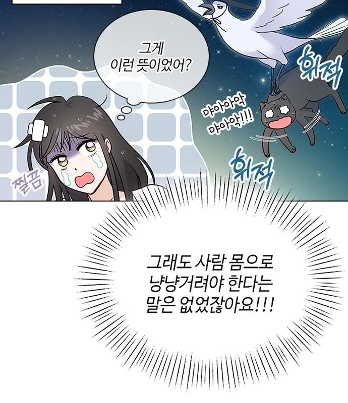 97 페이지