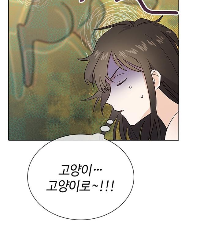 113 페이지