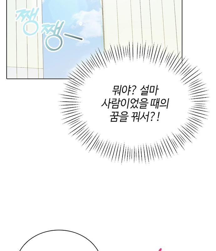 91 페이지
