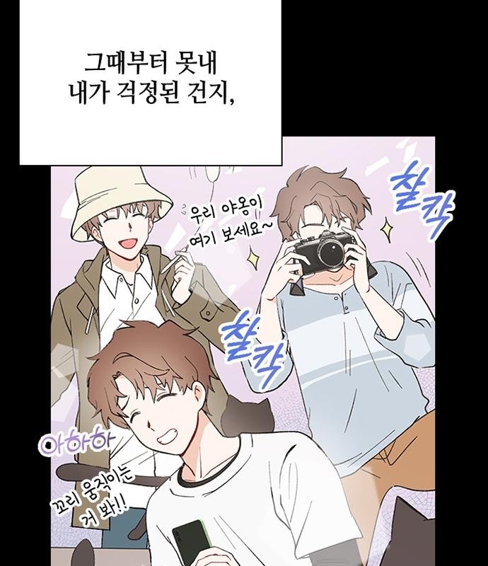 47 페이지