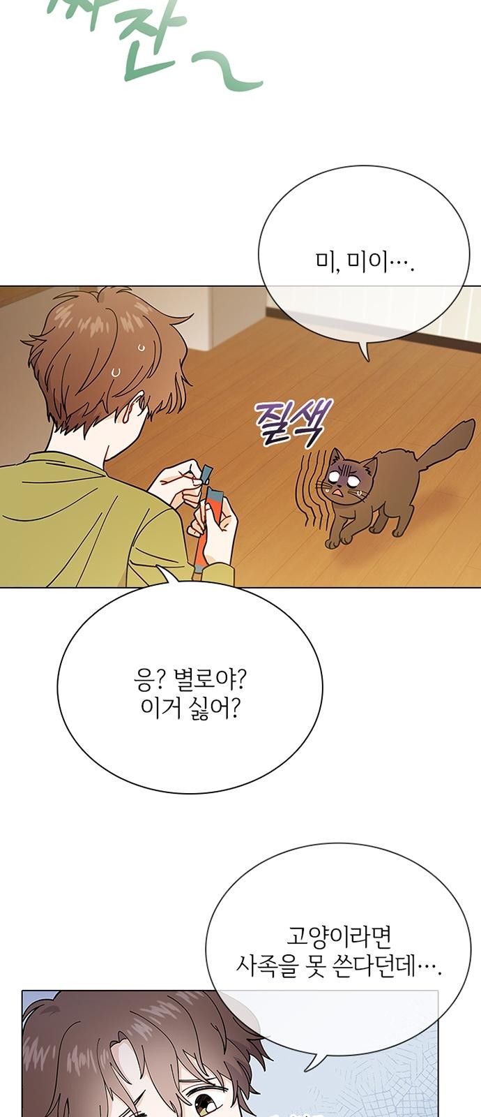 54 페이지