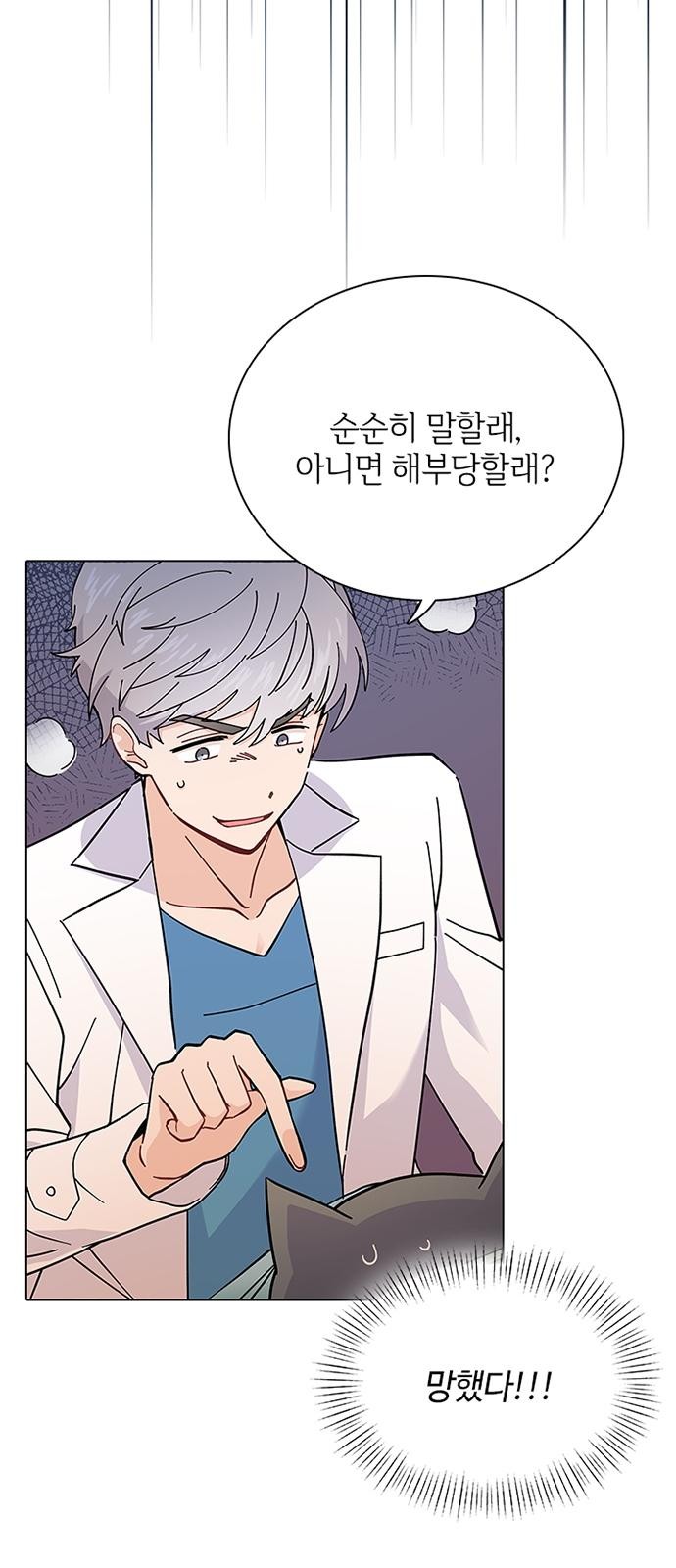39 페이지