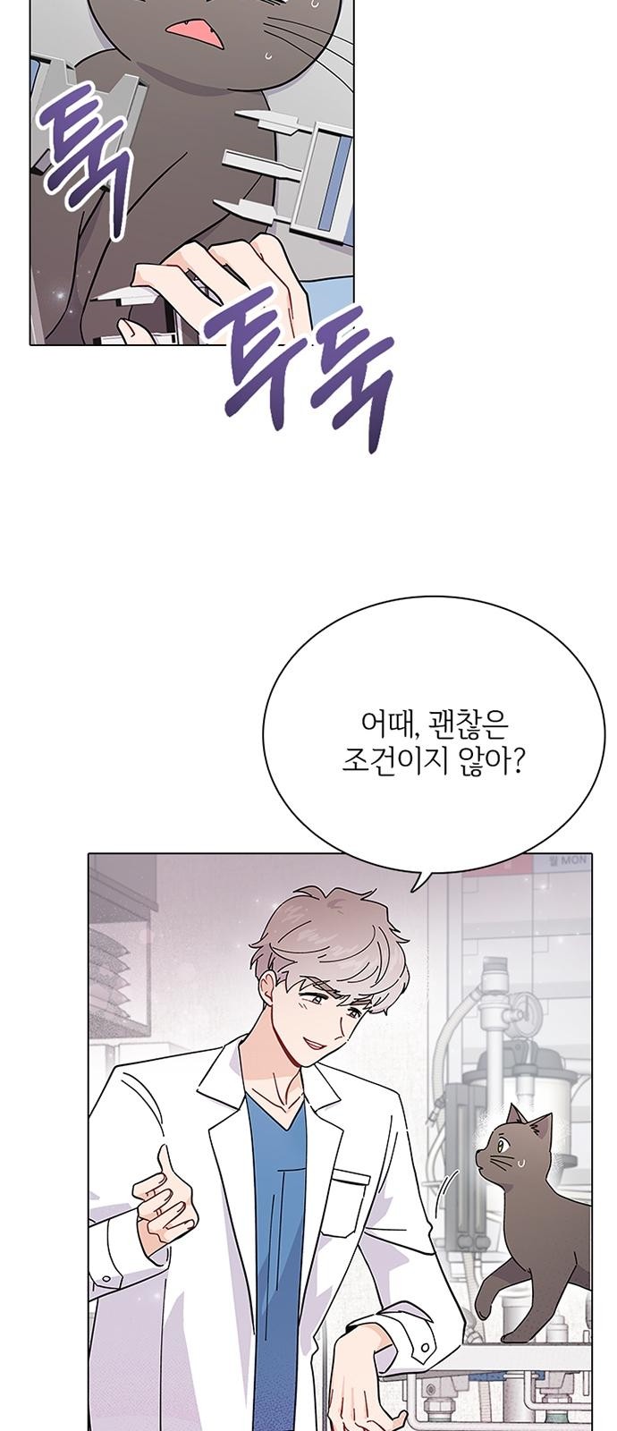 57 페이지