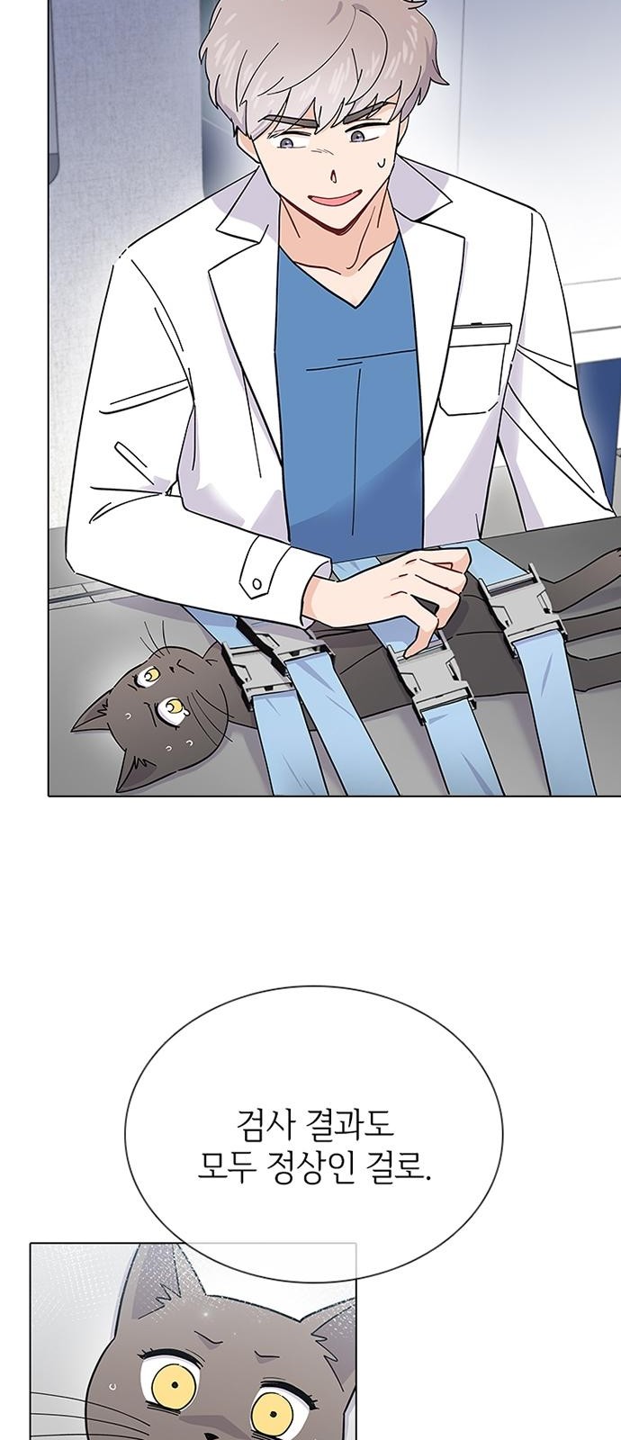 56 페이지
