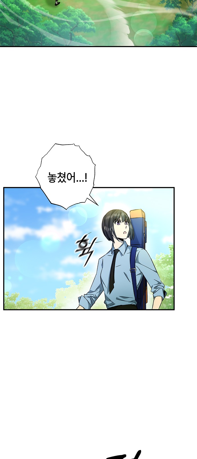 66 페이지