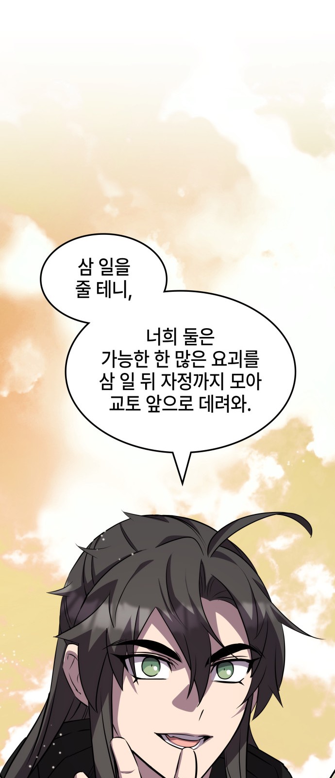 71 페이지