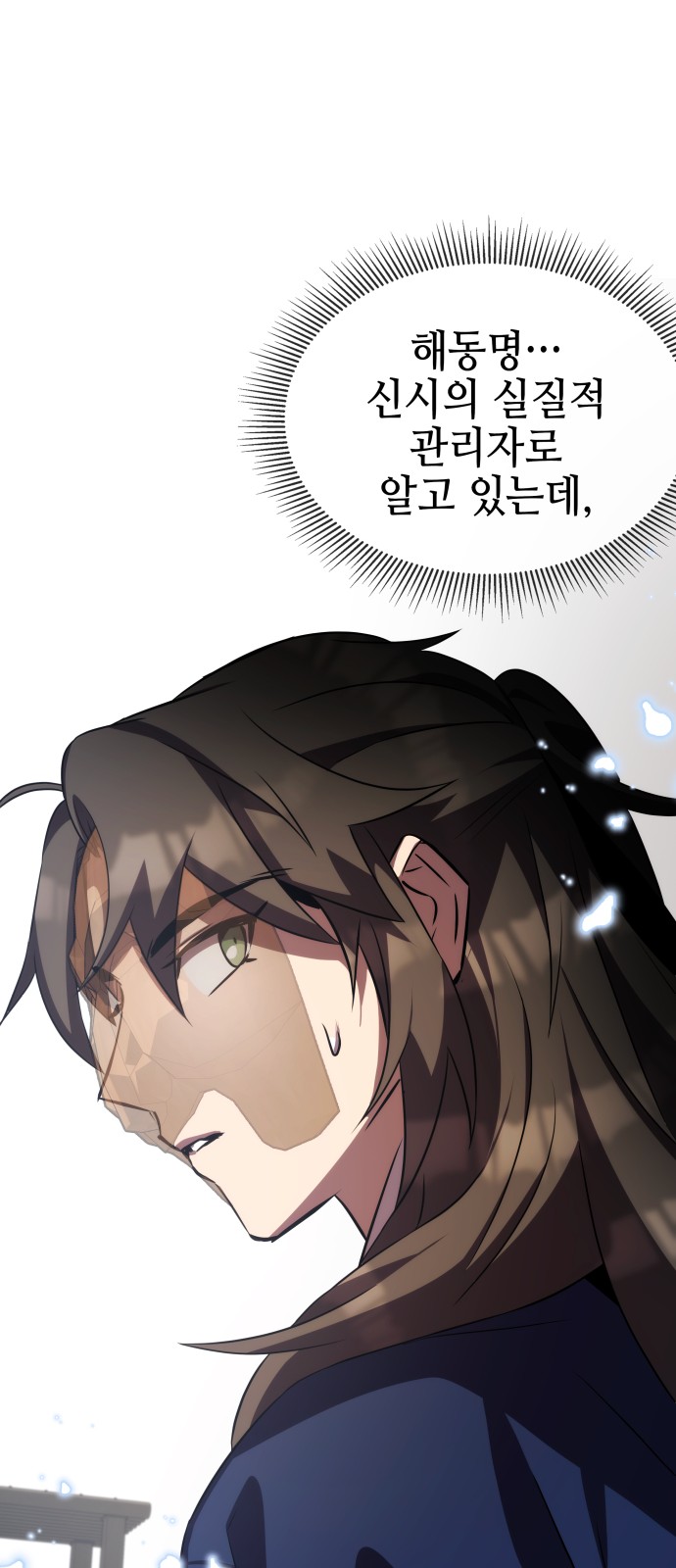 110 페이지
