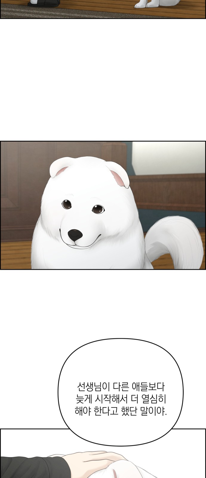 56 페이지