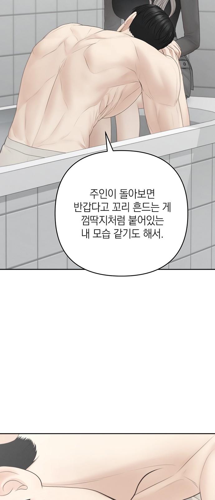52 페이지